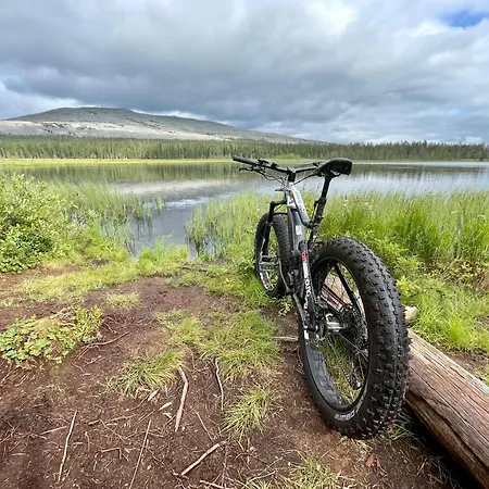 Yllaeksen Taiga * Ylläsjärvi
